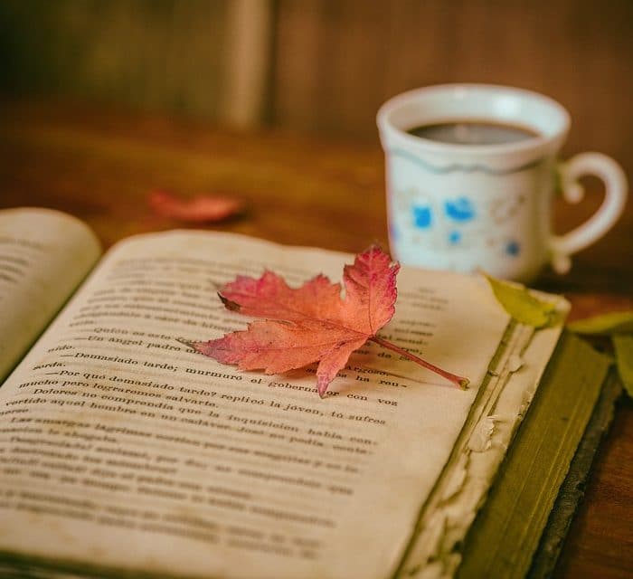 book cup leaf