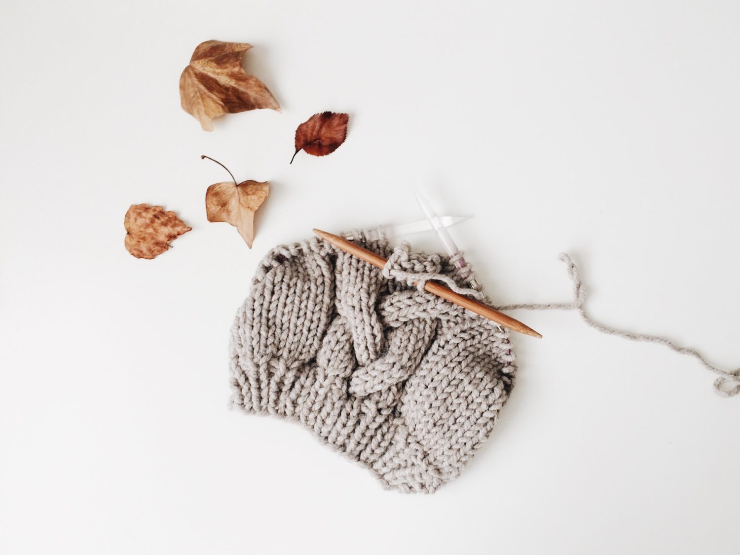 knitting and leaves