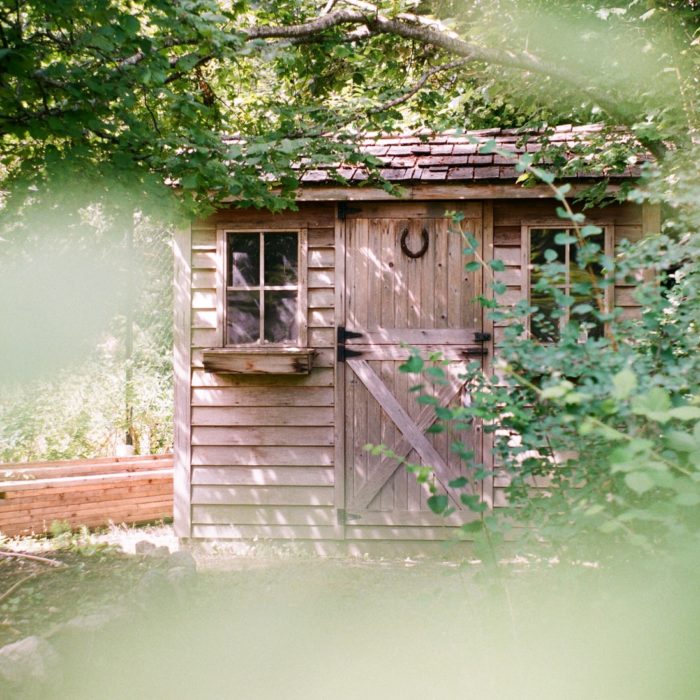 outdoor shed partially hidden by leaves