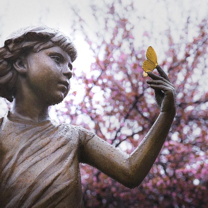 grave with butterfly